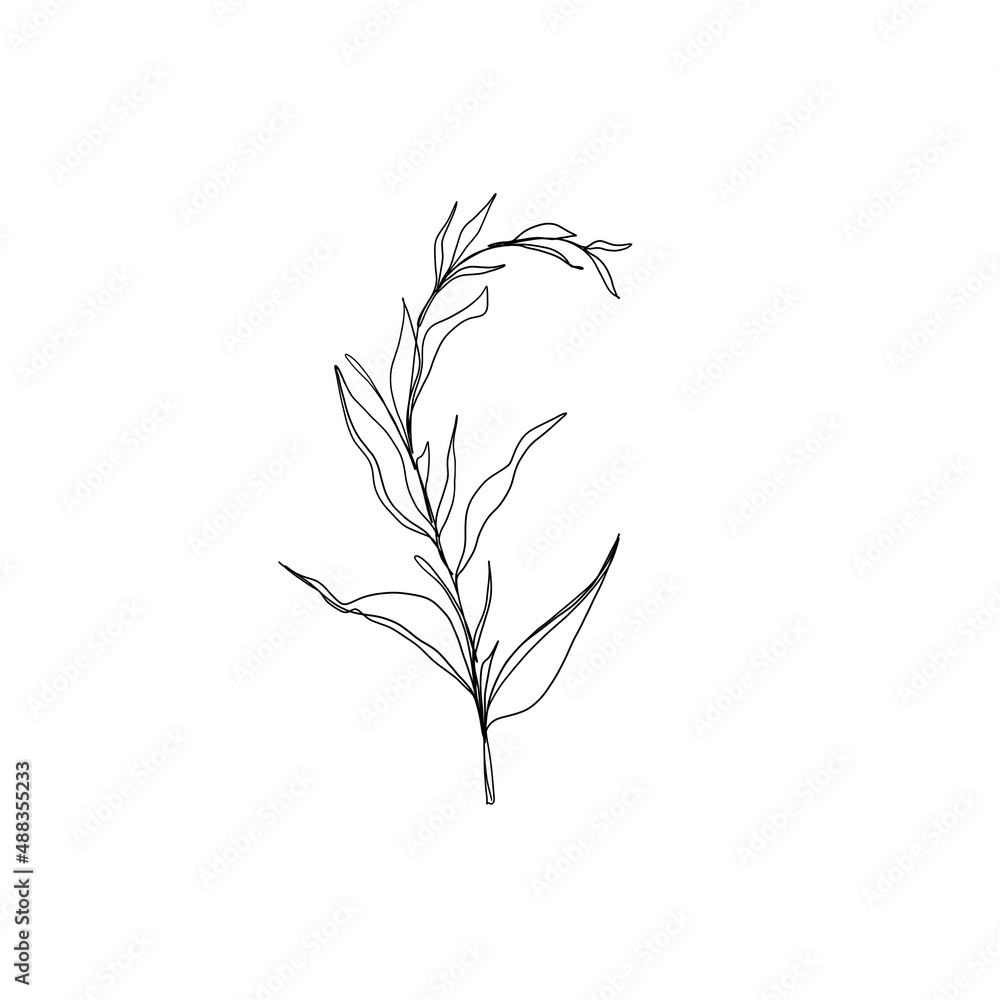 line art drawing of plant. minimalism sketch, idea for invitation, design of instagram stories and highlights icons