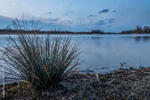 Shrub on the shore of a lake in the blue hour photo
