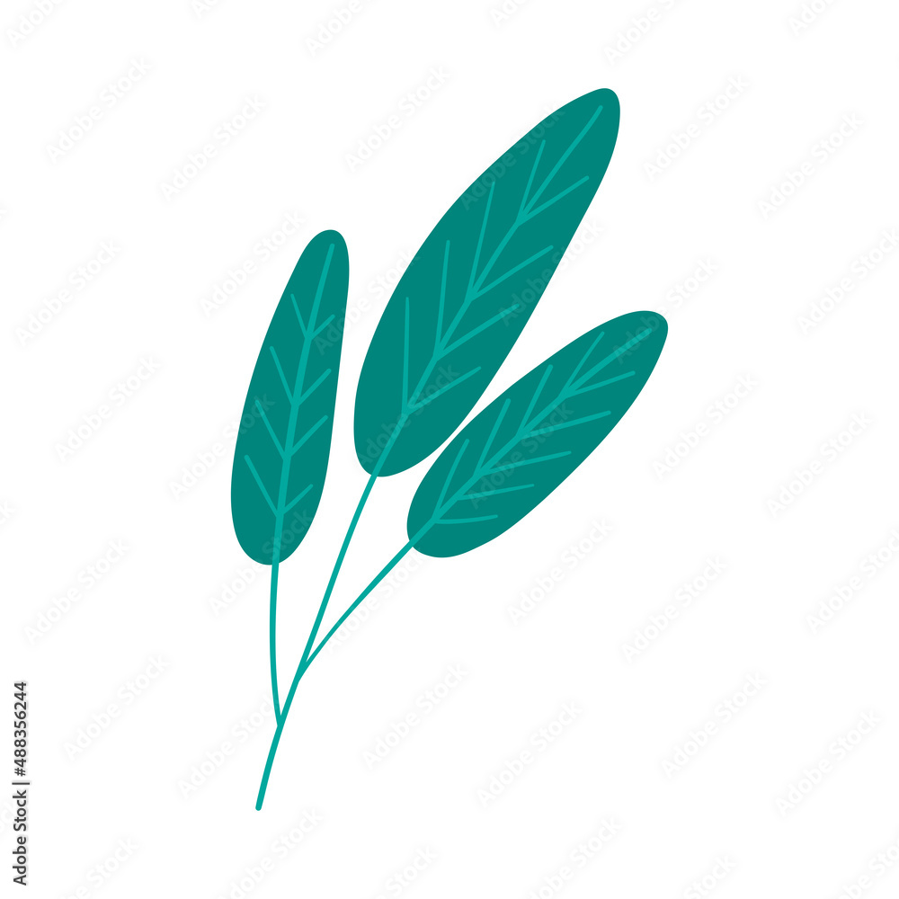 Fototapeta premium Green hand-drawn tropical leaf vector illustration