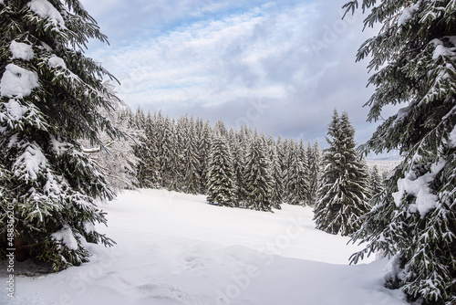 Landschaft im Winter im Thüringer Wald in der Nähe von Schmiedefeld am Rennsteig © Rico Ködder