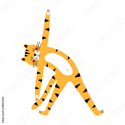 Tiger doing yoga hand-drawn vector illustration