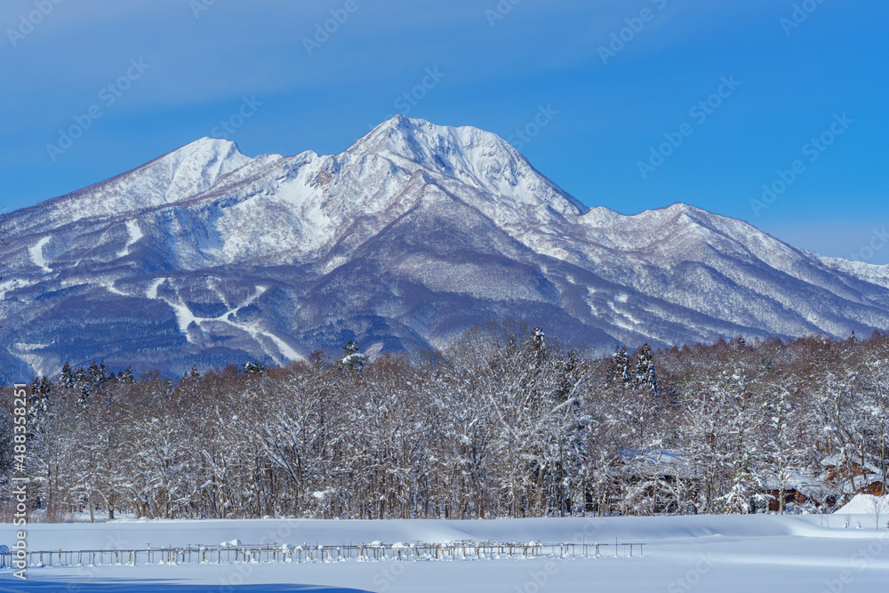 冬信濃町からの妙高山　雪景色