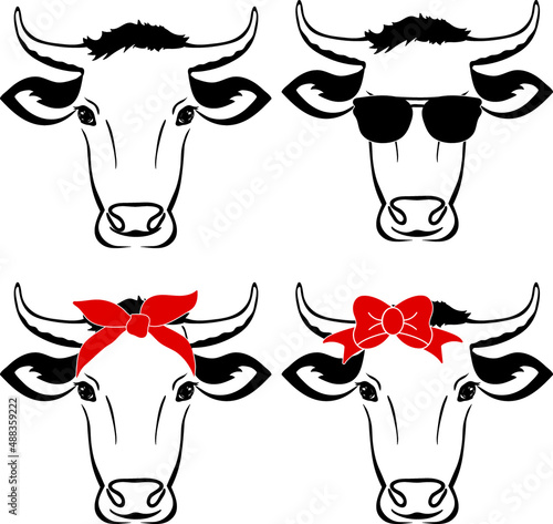 Cow Head