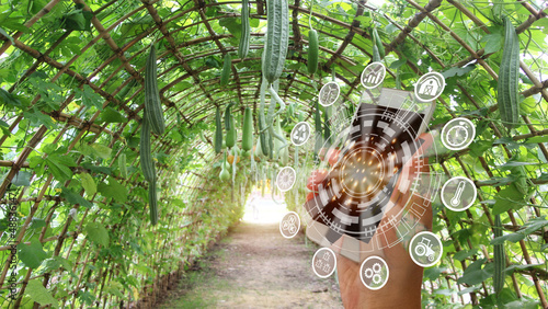 Smart technology concepts in vegetable garden plots