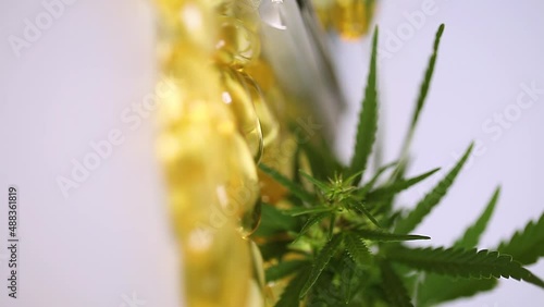 CBD oil pills. High CBD cannabis oil capsule pill, used for pain therapy and medical cannabis. Marijuana research. THC oil. Vertical video