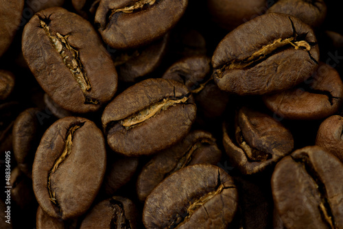 Grains of Coffee, Roasted Coffee Beans