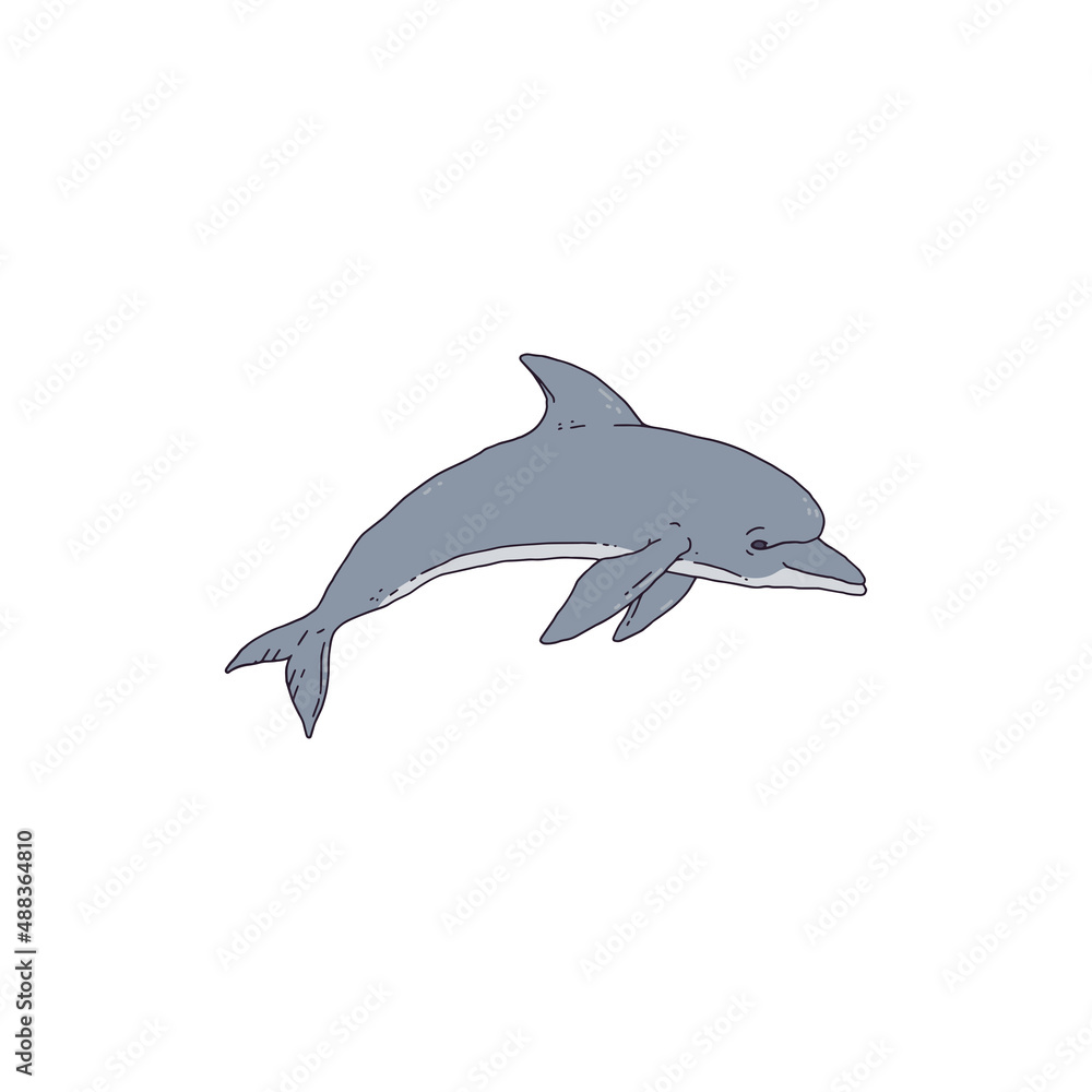 Fototapeta premium Dolphin jumping playful aquatic animal contour line doodle vector Illustration.