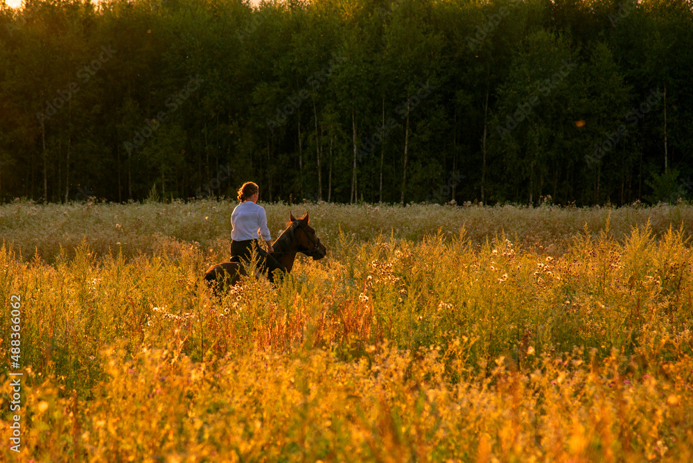  A girl rides a horse in a field on a evening at sunset.