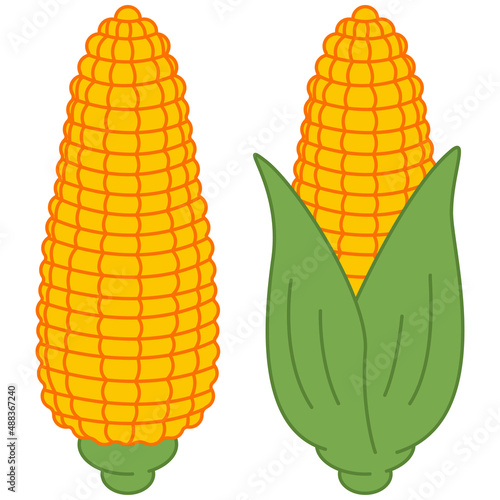 Corn cobs vector cartoon illustration isolated on white background.