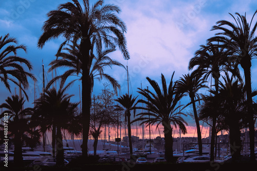 Silhouette palm trees at the harbor at sunset. Vintage tone.