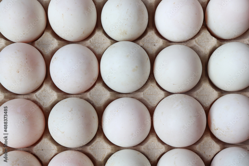 Close up of Eggs white in paper tray on black background Close up of Eggs white in paper tray on black background