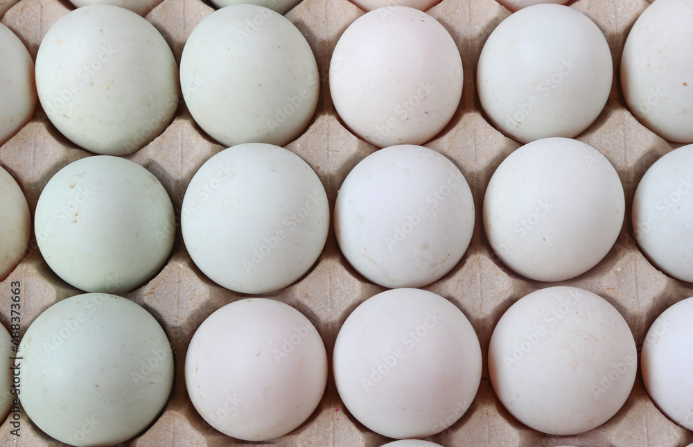 Close up of Eggs white in paper tray on black background Close up of Eggs white in paper tray on black background