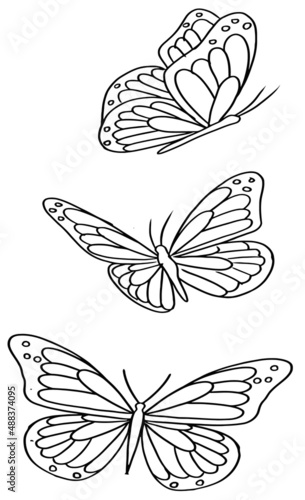 Assorted Butterfly Drawing Outline Aesthetic  Butterfly Vector Unique Pattern  Sketch Line art Hand Drawn 