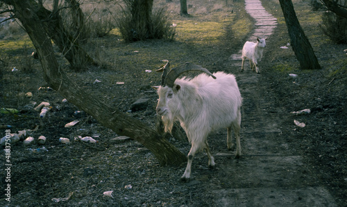 By polluting the environment, we make photography worse