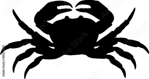 Illustration of a crab. Marine arthropod animal. A relative of cancer, lobster, shrimp. Seafood delicacy. Vector image