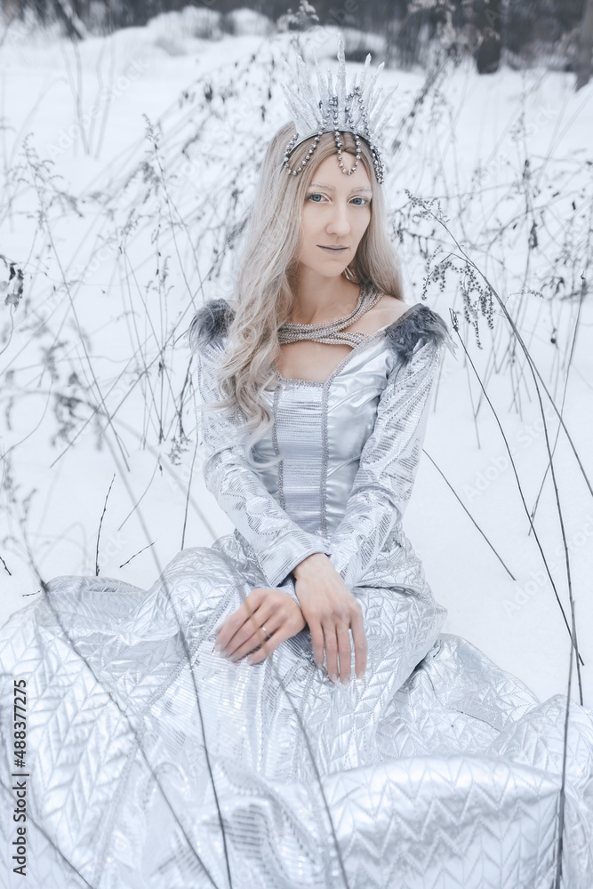 Snow Queen cosplay in the winter forest background. Art photo Snow Queen cosplay in the winter forest background. Art photo