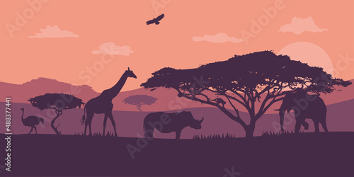 Amazing sunset and sunrise. Panorama silhouette tree in africa with sunset. Dark tree on open field dramatic sunrise.Safari theme.Giraffes   elephant   Rhino  Birds. EPS