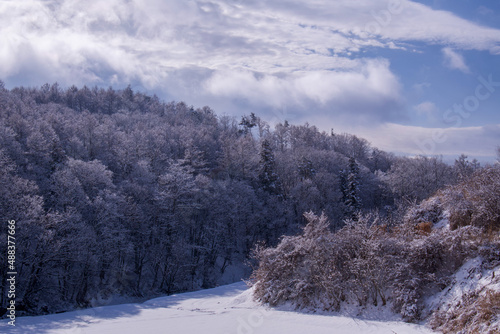 高台から見た雪景色