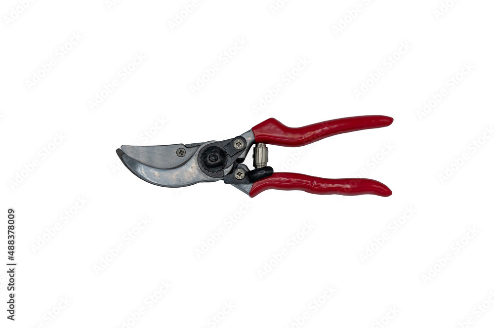Obraz premium tree pruning shears isolated on white background with clipping path.