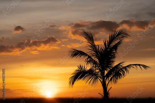 the silhouette of a lonely palm tree against the background of a fabulous tropical orange sunset on a desert island. a tourist's dream, relaxation solitude and a fabulous paradise vacation