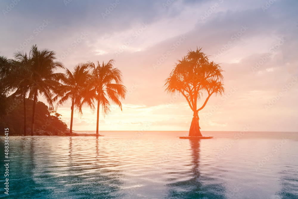 tropical orange-pink sunset and palm trees against the sky. Reflection in the clouds in the water, a fabulous landscape on a tropical island