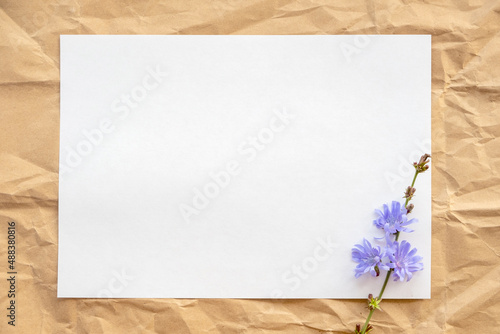 top view of a white sheet of paper resting on crumpled beige paper  at the bottom on the edge of a chicory flower