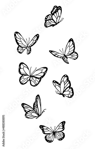 Assorted Butterfly Drawing Outline Aesthetic, Butterfly Vector Unique Pattern, Sketch Line art Hand Drawn
