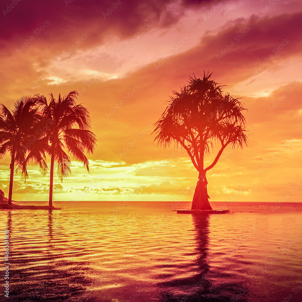 a beautiful palm tree against the background of an orange pink sunset is reflected in the water. tropical relaxing evening, reflection of the sky and ripples on the sea water. fabulous landscape
