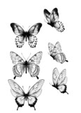 Assorted Butterfly Drawing Outline Aesthetic, Butterfly Vector Unique Pattern, Sketch Line art Hand Drawn
