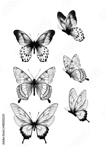 Assorted Butterfly Drawing Outline Aesthetic, Butterfly Vector Unique Pattern, Sketch Line art Hand Drawn 