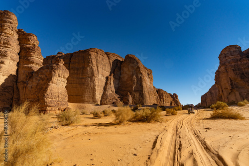 saudi arabia al ula al Sharaan Nature Reserve
