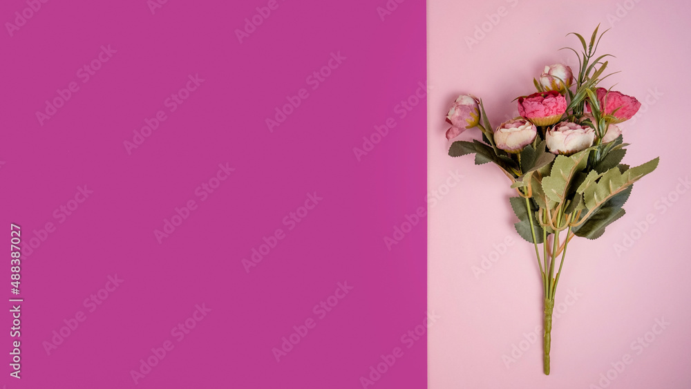 Fototapeta premium Decorative flowers on color background. Space for text. Top view