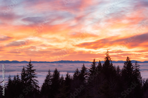Canadian Nature View of Evergreen Trees on a mountain above the clouds. Dramatic Winter Sunset. Taken at Cypress Lookout, Vancouver, British Columbia, Canada. Background