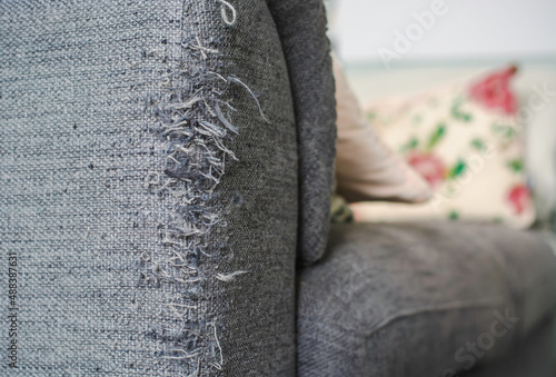 A ragged corner of the sofa that had been ruined by cat claws.