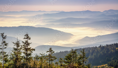 Fototapeta Naklejka Na Ścianę i Meble -  Beautiful sunrise in the Carpathians. Hills lines during sunrise. Beautiful natural landscape. Vibrant photo. Panoramic view.