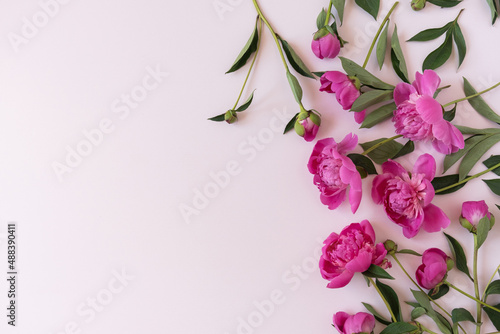 Abstract floral background. Colourful pink peony flowers background. Flowers and petals. Delicate aesthetic artistic botany template