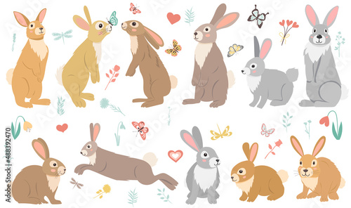 hare  rabbit set flat design   cartoons  isolated vector