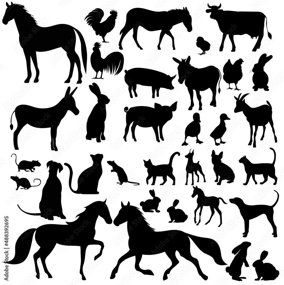 Obraz premium pets set silhouette on white background, isolated vector
