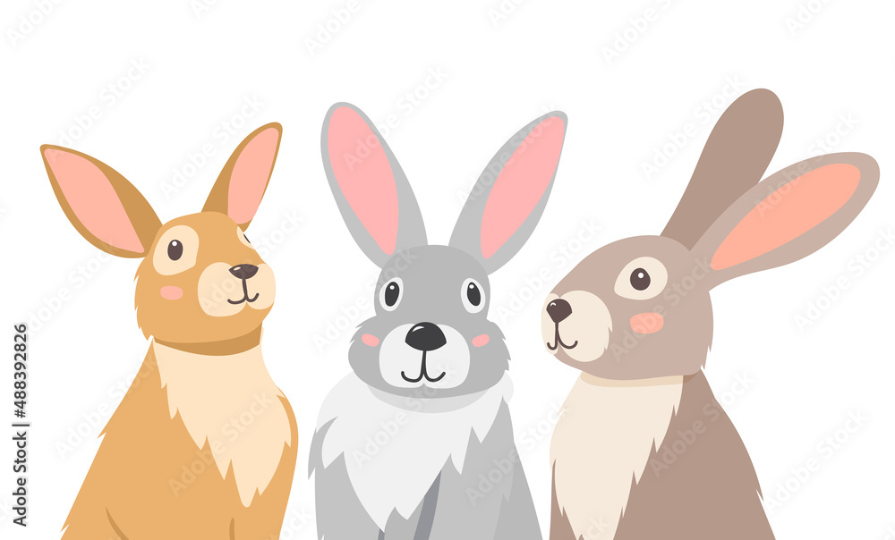 Fototapeta premium hare, rabbit portrait flat design, cartoon, isolated vector