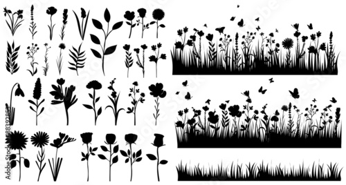 grass plants silhouette on white background, isolated vector