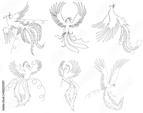Phoenix bird set one line drawing, outline, vector