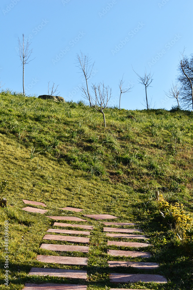 Obraz premium Combination of blue and green. The way to the sky. Landscape photos.