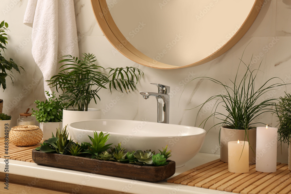 Counter with sink and many different houseplants near white marble wall Counter with sink and many different houseplants near white marble wall