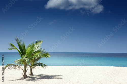 Fototapeta Naklejka Na Ścianę i Meble -  View of nice tropical beach with some palm