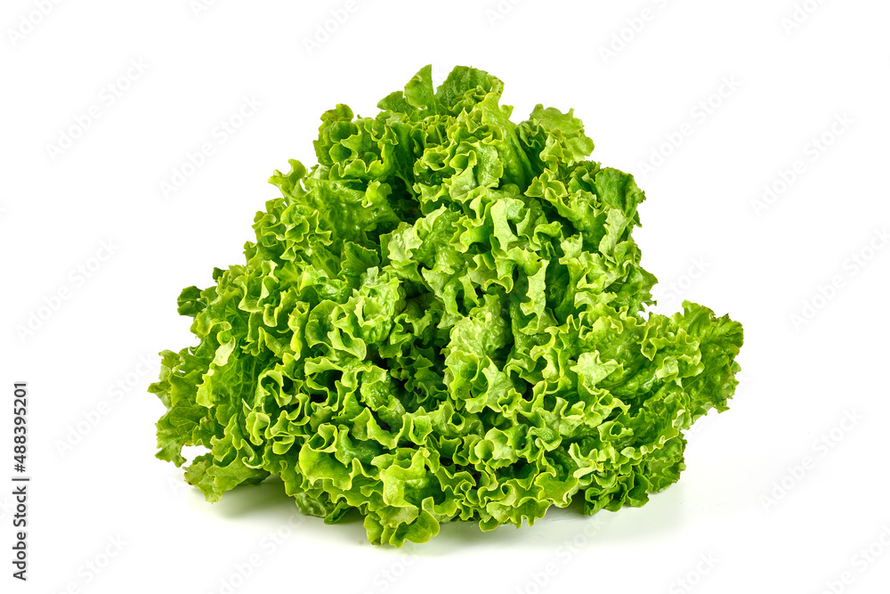 Salad leaf. Lettuce, isolated on white background. High resolution image. Salad leaf. Lettuce, isolated on white background. High resolution image.