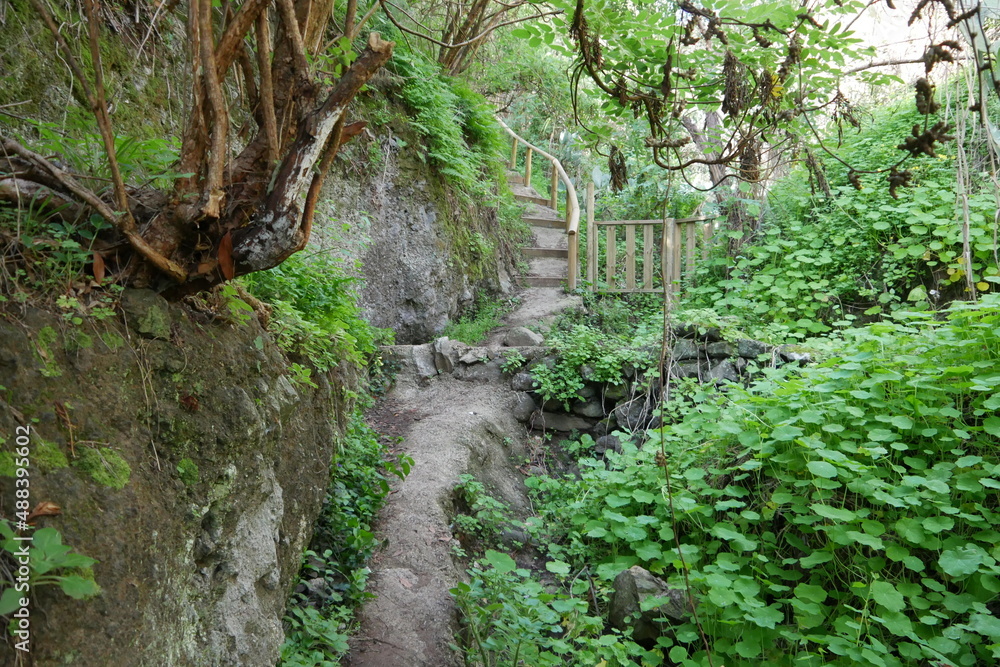 Fototapeta premium Wanderweg bei Teror auf Gran Canaria