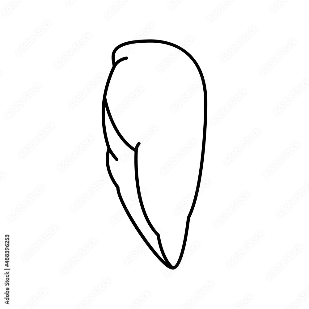 breast boneless skinless chicken line icon vector illustration breast boneless skinless chicken line icon vector illustration