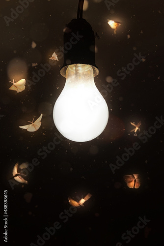 Night moths fly to the light of a vintage lamp.