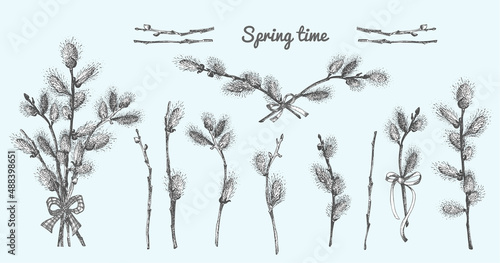 Pussy Willow branches set. Spring bouquet with ribbon bow. Hand-drawn sketch black and white design isolated on blue background. Outline Sunday Easter symbol collection. Vector.