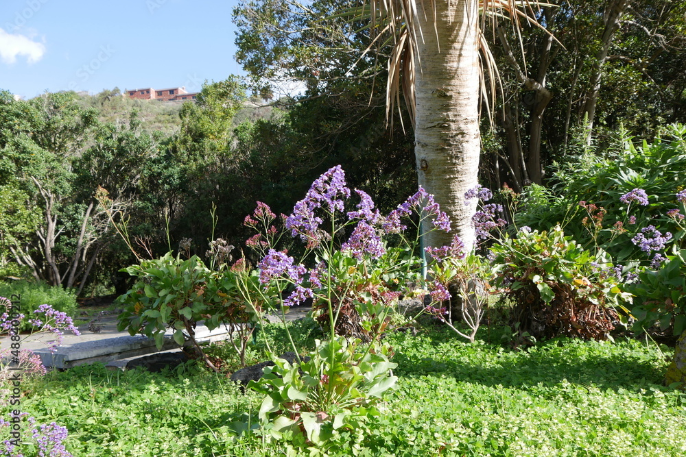 Botanischer Garten in Las Palmas de Gran Canaria